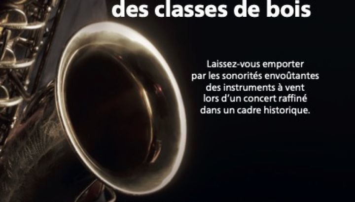 affiche instruments en bois